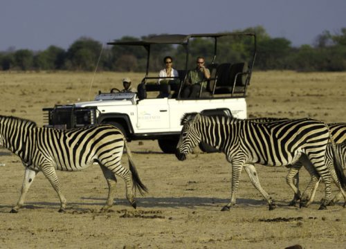 Parc National Hwange