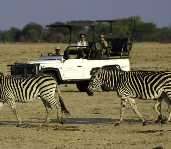 Parc national Hwange