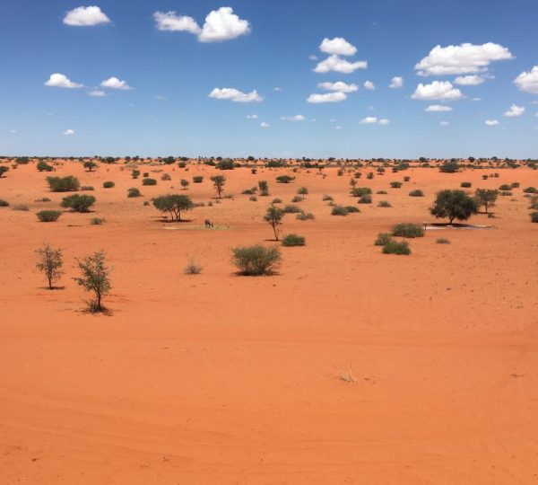 Désert Namibie