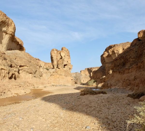 autotour Namibie