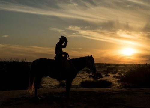 Bagatelle Kalahari Game Ranch