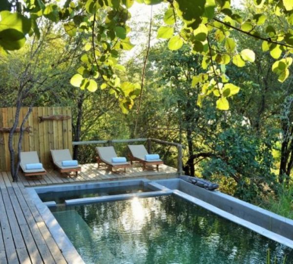 Piscine écologique