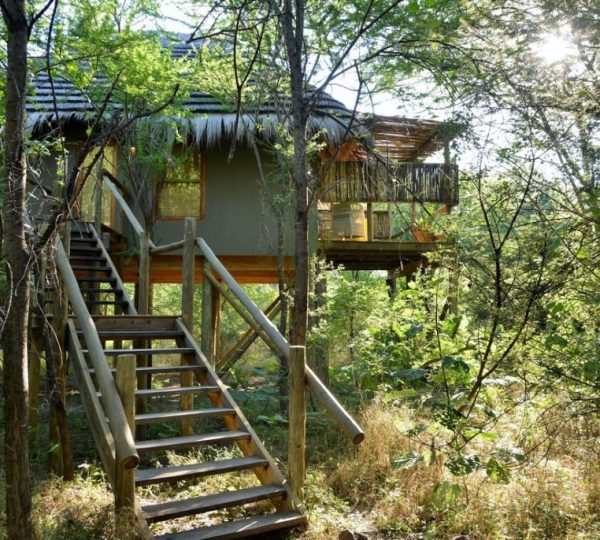 Chalets au sommet des arbres