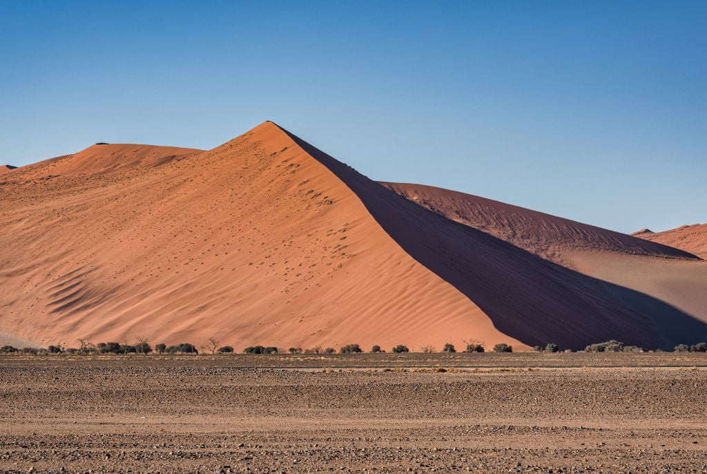 Dune 45