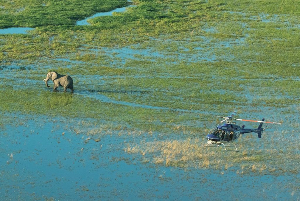 hélicoptère Delta Okavango