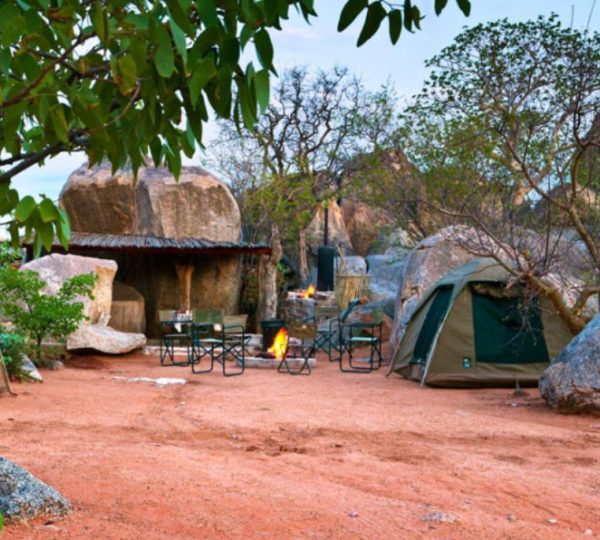 Nombreux camps