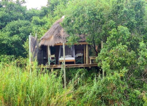 Ngepi Lodge