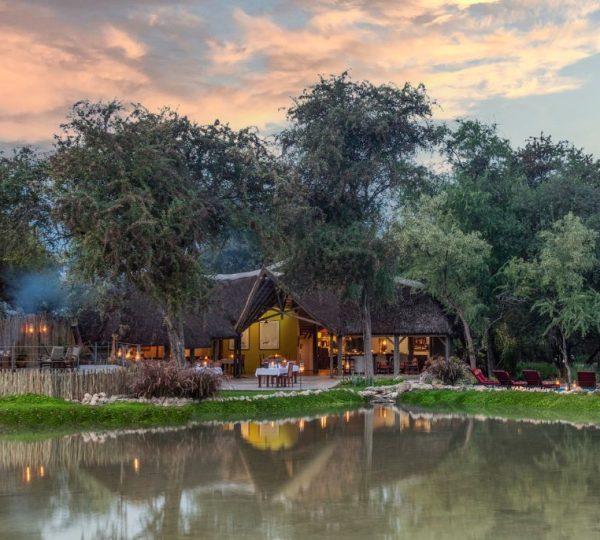 Onguma Forest Camp