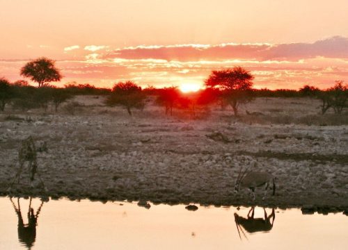 Coucher de soleil