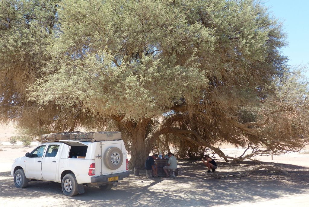 Sossusvlei Safari