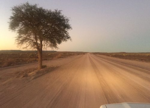 Roadtrip en Namibie : Tout savoir sur la conduite