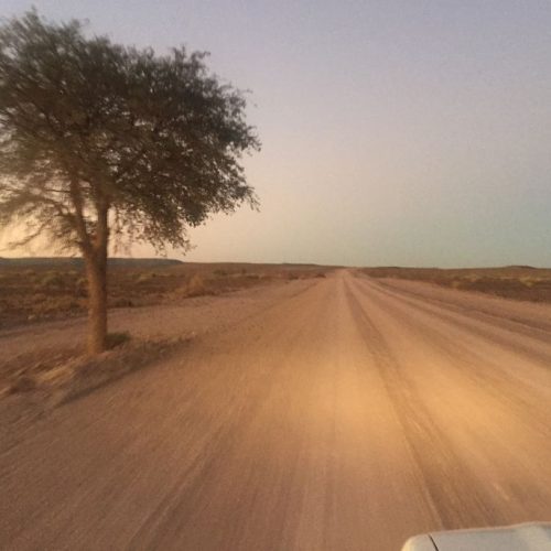 Road Trip en Namibie, du Kalahari à Etosha, tout en lodge