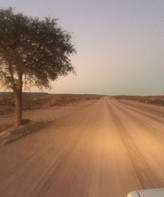Road Trip en Namibie, du Kalahari à Etosha, tout en lodge