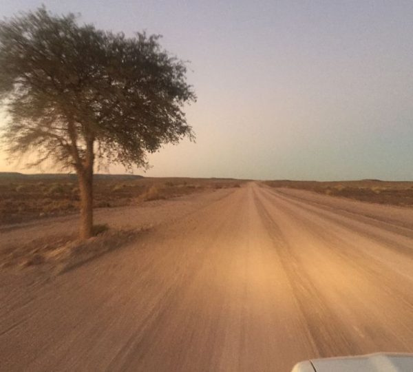 Road Trip en Namibie, du Kalahari à Etosha, tout en lodge