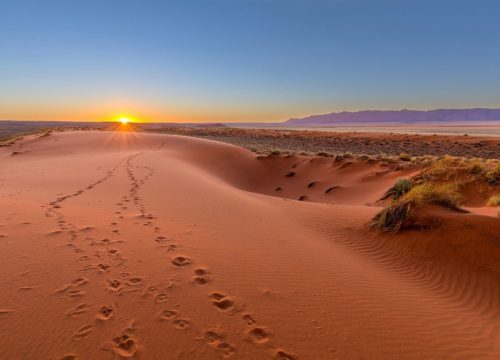 Désert du Kalahari