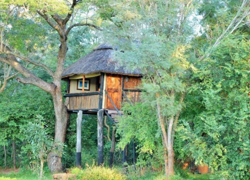 Ivory Lodge
