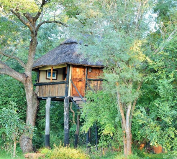 Ivory Lodge