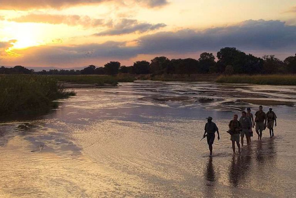 Safari parc Sud Luangwa