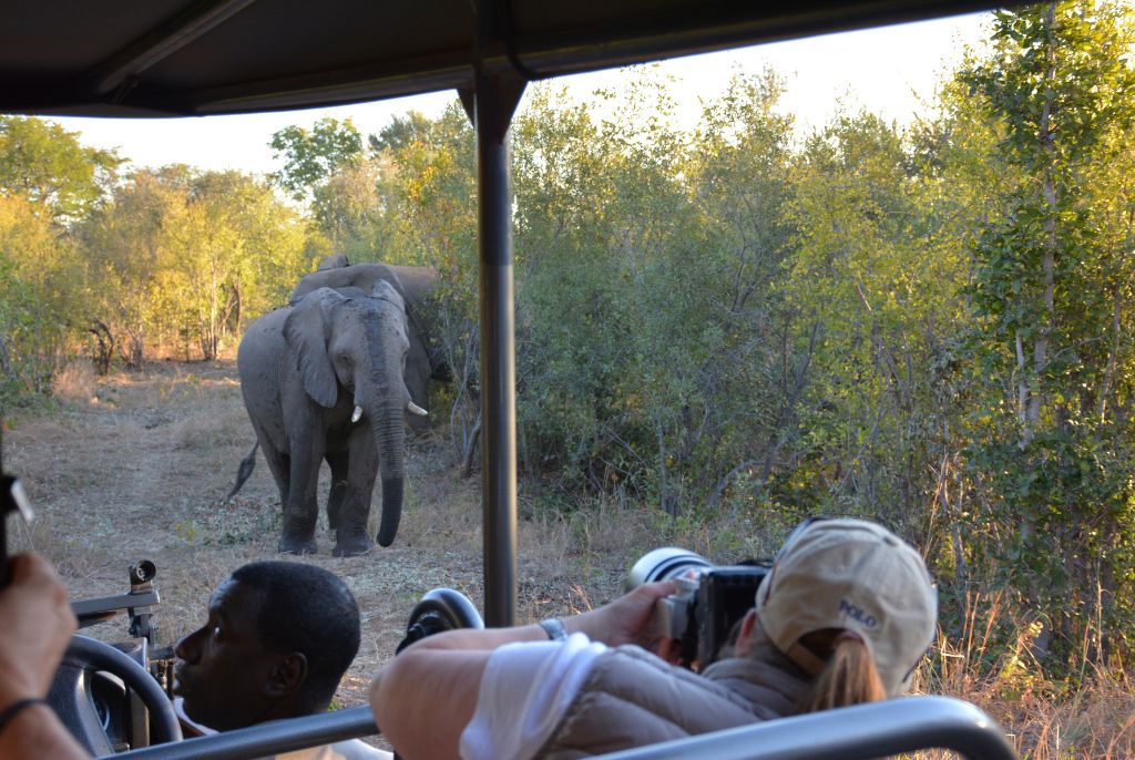 Hwange National Park