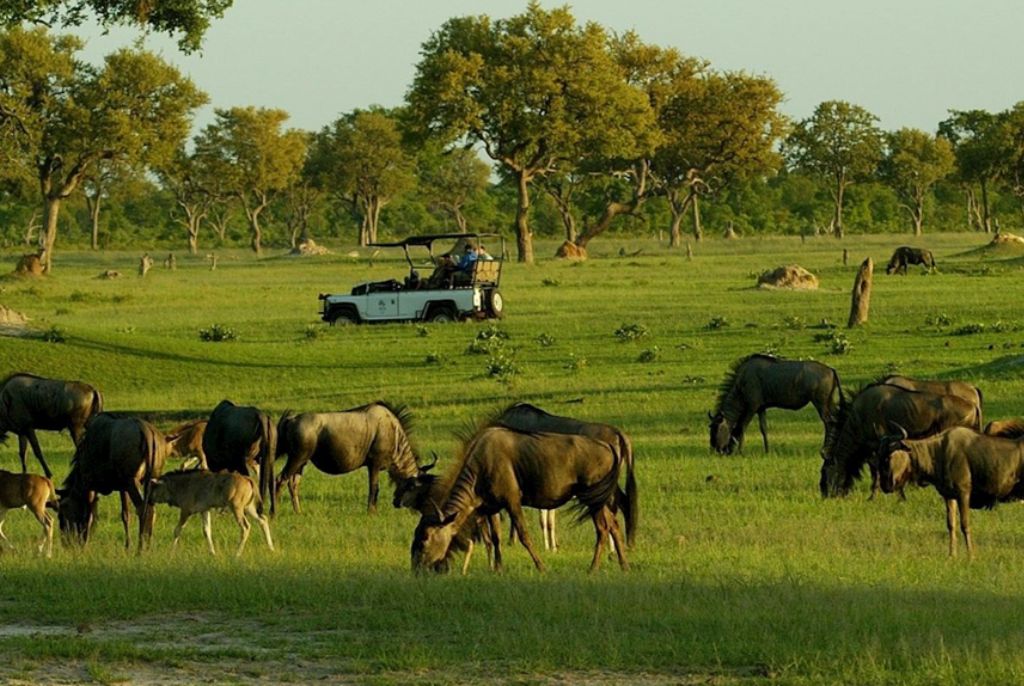 Zimbabwe
