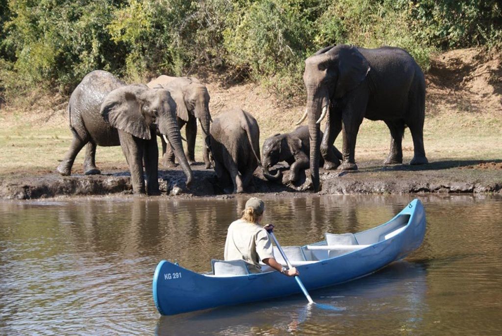 Safari Canoe parc kafue safari