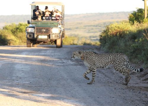 Quels vaccins pour aller au Botswana ?