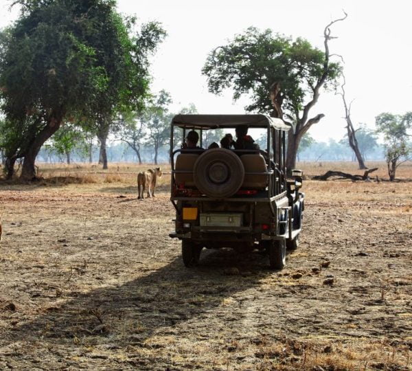 safari vehicule zambie