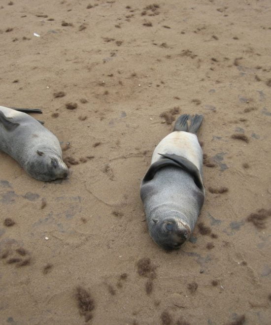 Plage de Swakopmund