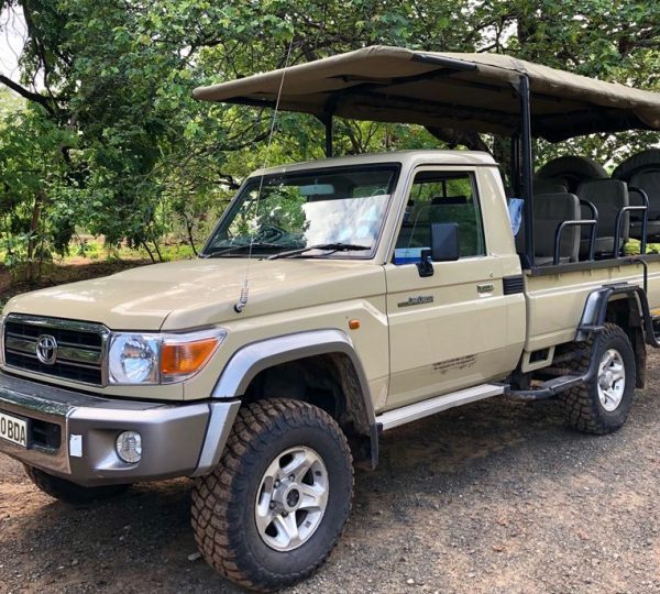 voiture safari