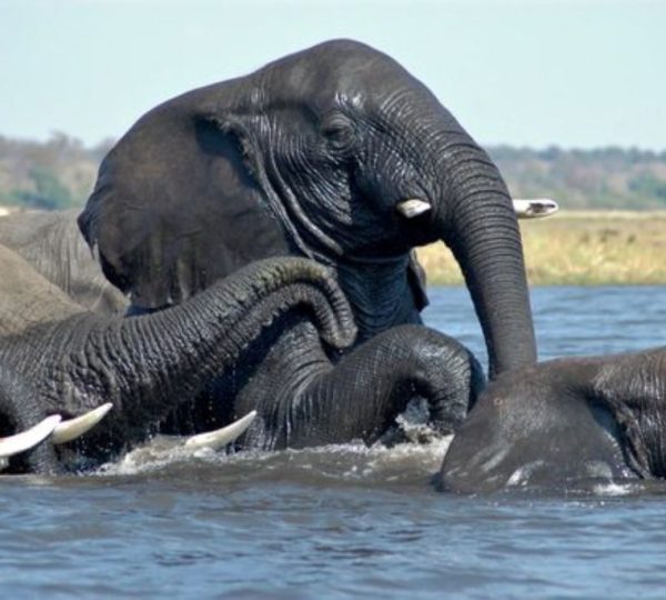 Mosi-Oa-Tunya