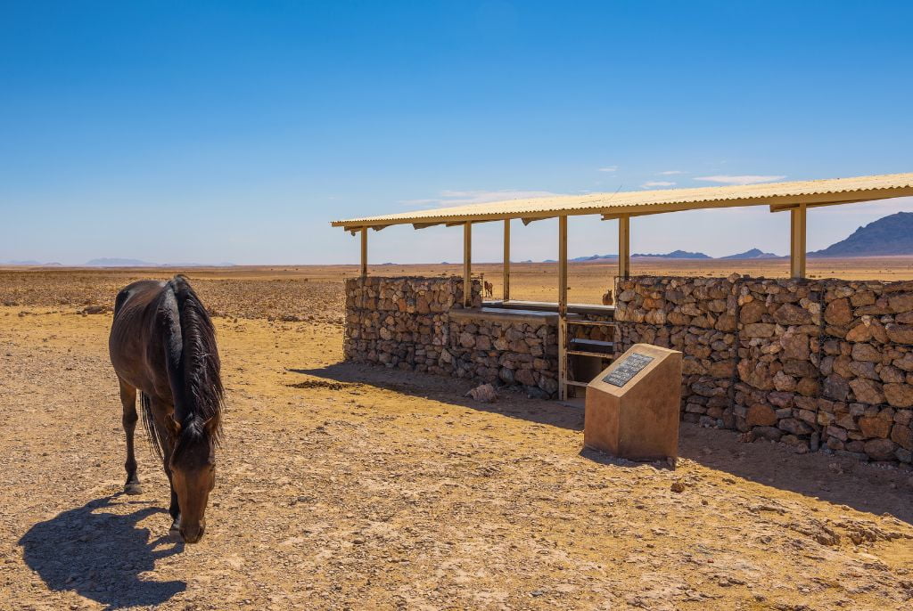 Cheval à Aus en Namibie
