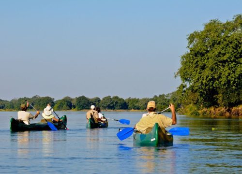 Safari en Canoe
