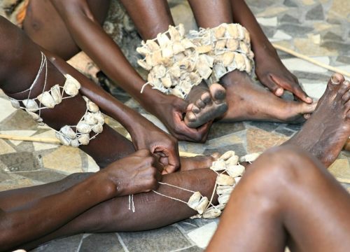 Danseurs africains Basarwa