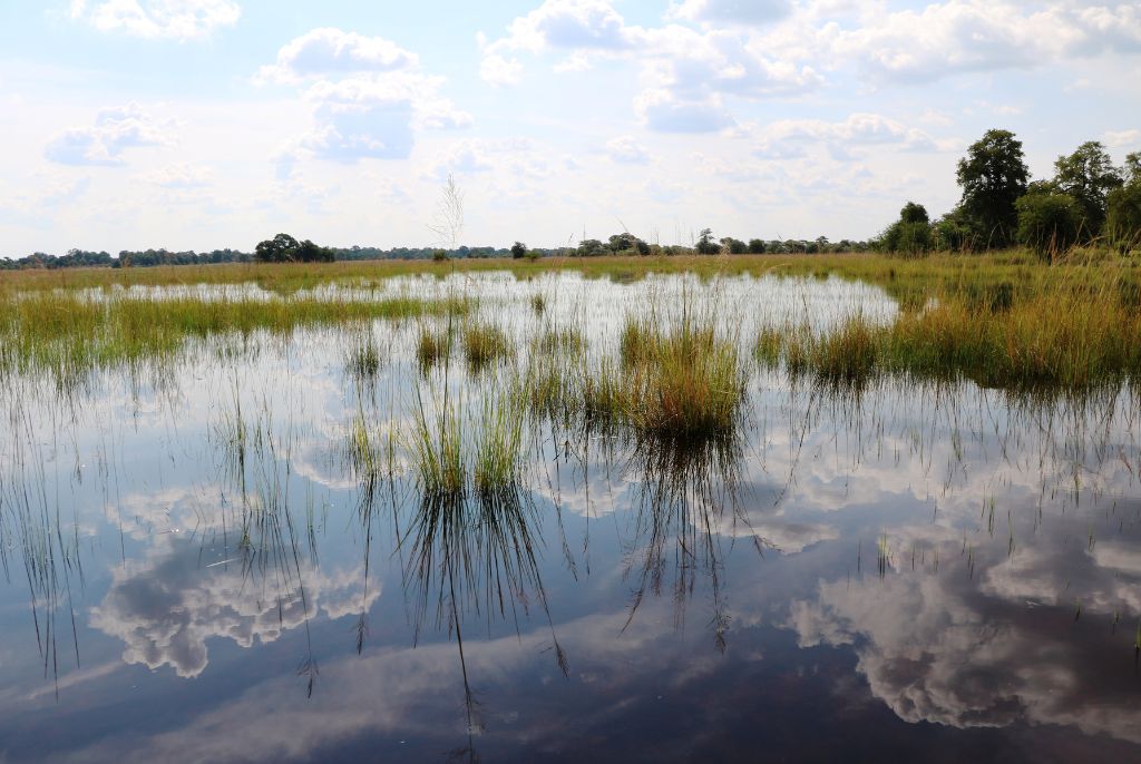 Caprivi