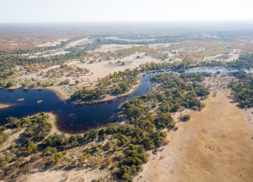Quelle est la meilleure période pour visiter le delta de l’Okavango ?