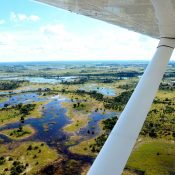 Delta de l'Okavango