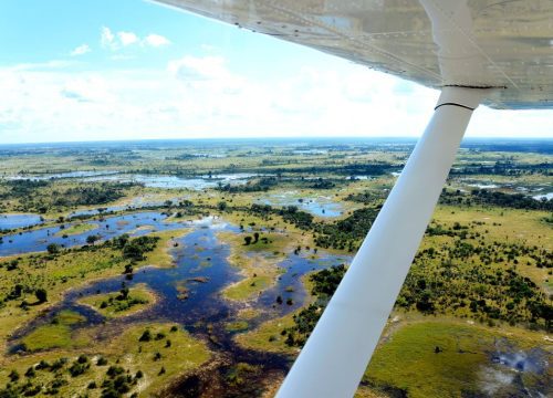 Delta de l'Okavango