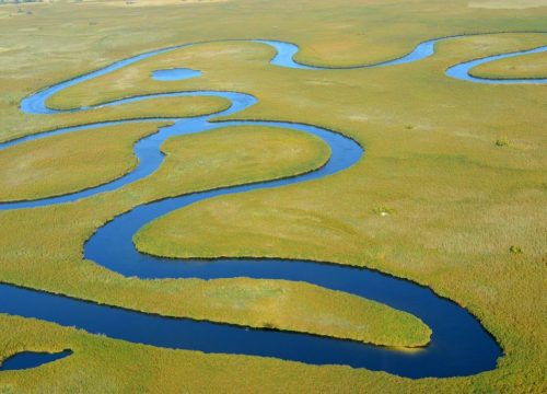 Delta de l'Okavango