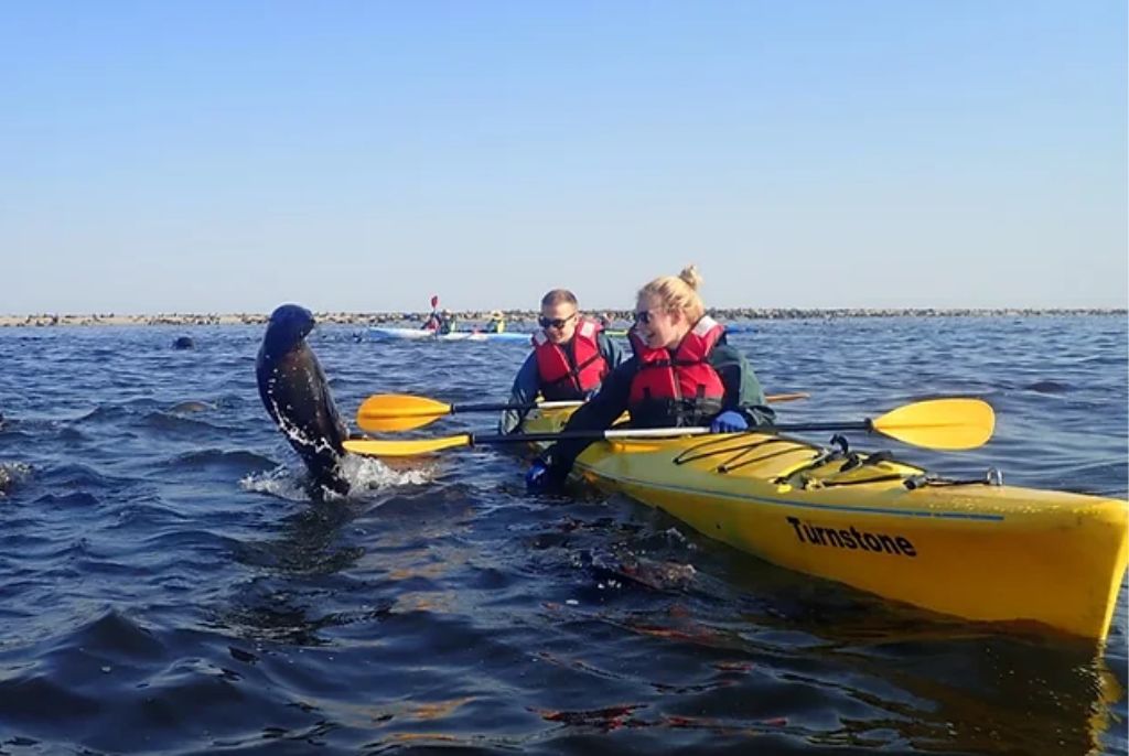 Croisière Kayak Namibie
