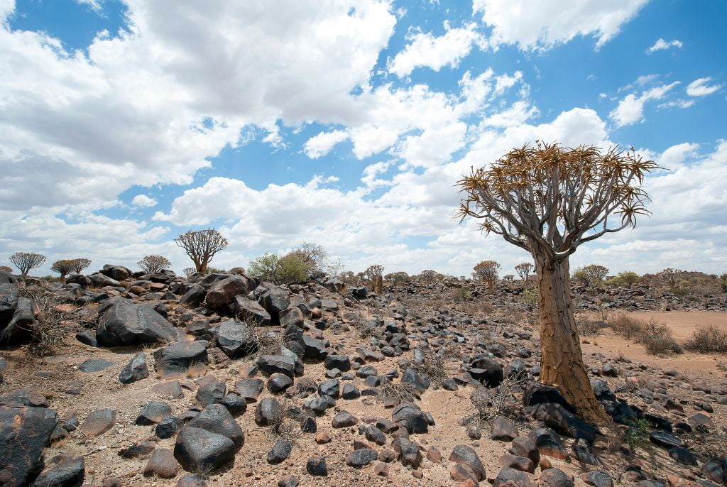 Keetmanshoop