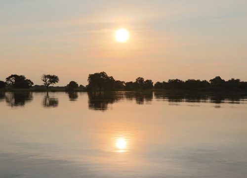Okawango