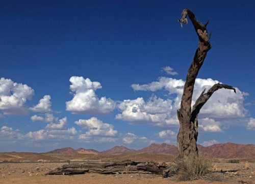 National Park