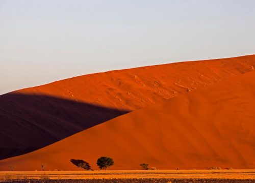 Dune Sossusvlei