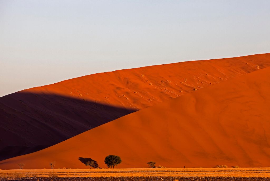 Dune Sossusvlei