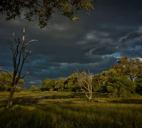 Parc Savuti de nuit au Botswana