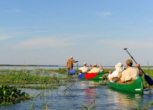 Safari en canoe