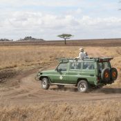 Safari Tanzanie