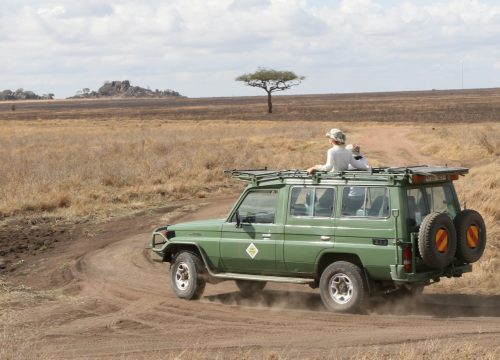 Quelle est la meilleure période pour un safari en Namibie ?