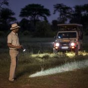 **Balise Title :** Safari nocturne au Botswana : découvrez la vie sauvage après la nuit **Article :** L'agence Hors Pistes est une agence locale spécialisée dans les safaris en Namibie, Zambie, Botswana et Zimbabwe. Hors Pistes Afrique Australe propose des safaris guidés, des circuits sur mesure et des autotours dans ces destinations de rêve. ### Safari nocturne au Botswana : une immersion unique dans la nature sauvage Le Botswana est une terre d’aventure, où la faune vit en totale liberté au cœur de paysages préservés. Mais si observer les animaux en journée est une expérience fascinante, assister à leur activité après le coucher du soleil l’est tout autant. Les safaris nocturnes offrent une perspective différente, révélant une vie sauvage souvent insoupçonnée. Dans l'obscurité, les prédateurs comme les lions, léopards et hyènes se mettent en chasse, tandis que des créatures plus discrètes comme les pangolins ou les genettes se dévoilent. Sous la lumière des projecteurs, le bush africain prend une toute nouvelle dimension. Hors Pistes vous accompagne dans cette aventure inoubliable avec des guides expérimentés qui sauront vous faire découvrir les trésors cachés du Botswana une fois la nuit tombée. Que ce soit dans le delta de l’Okavango, la réserve de Moremi ou le parc national de Chobe, chaque safari nocturne est une expérience unique à vivre au plus près de la nature. Pour prolonger cette aventure, explorez nos circuits sur mesure et nos safaris guidés à travers le pays. Découvrez notre offre de [safari au Botswana](https://www.horspistes-afrique-australe.com/botswana/) et partez pour une aventure hors du commun.