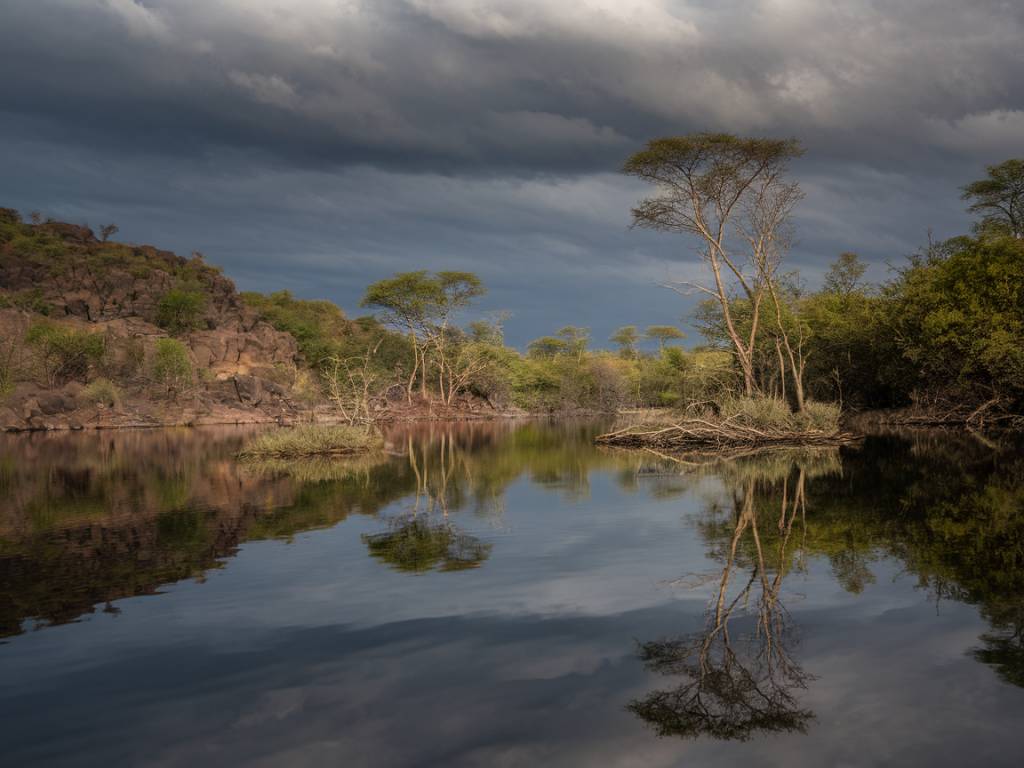 **Balise Title :** Les trésors de la biodiversité : espèces endémiques du Botswana --- ## Les espèces endémiques du Botswana : trésors cachés de la biodiversité locale Le Botswana est un véritable sanctuaire pour la faune et la flore africaines. Ce pays préservé abrite une multitude d'espèces endémiques qui témoignent de la richesse de sa biodiversité. Entre vastes étendues sauvages, lagunes et plaines inondées, la nature y façonne un écosystème unique, captivant les amoureux de la vie sauvage. ### Un refuge préservé pour la biodiversité Du delta de l'Okavango aux étendues arides du Kalahari, le Botswana révèle une mosaïque d'habitats qui favorisent l'adaptation et l'évolution d'espèces uniques. Parmi les mammifères endémiques les plus emblématiques, on retrouve l'antilope sable, parfaitement adaptée à la vie semi-aride. Les reptiles, comme le gecko du désert du Kalahari, évoluent aussi dans ces environnements extrêmes, développant des stratégies de survie fascinantes. ### Des oiseaux et plantes rares à découvrir Les amateurs d’ornithologie seront émerveillés par le francolin à lèvres rouges, un oiseau discret typique des savanes botswanaises. Du côté de la flore, le Botswana abrite des espèces végétales endémiques qui jouent un rôle essentiel dans l'équilibre des écosystèmes locaux, comme l’acacia erioloba, indispensable à de nombreux herbivores du désert. ### Explorer ces trésors naturels au cœur du Botswana Découvrir ces merveilles lors d’un [safari au Botswana](https://www.horspistes-afrique-australe.com/botswana/) est une expérience hors du commun. Accompagné d’un guide expert ou en autotour, chaque marche et chaque traversée en 4x4 offrent une occasion unique d’observer ces espèces dans leur milieu naturel, loin des sentiers battus. Le Botswana reste une destination incontournable pour les passionnés de faune et de conservation. En choisissant un voyage sur mesure, vous participez à la préservation de cet écosystème fragile tout en vivant une aventure authentique et inoubliable.